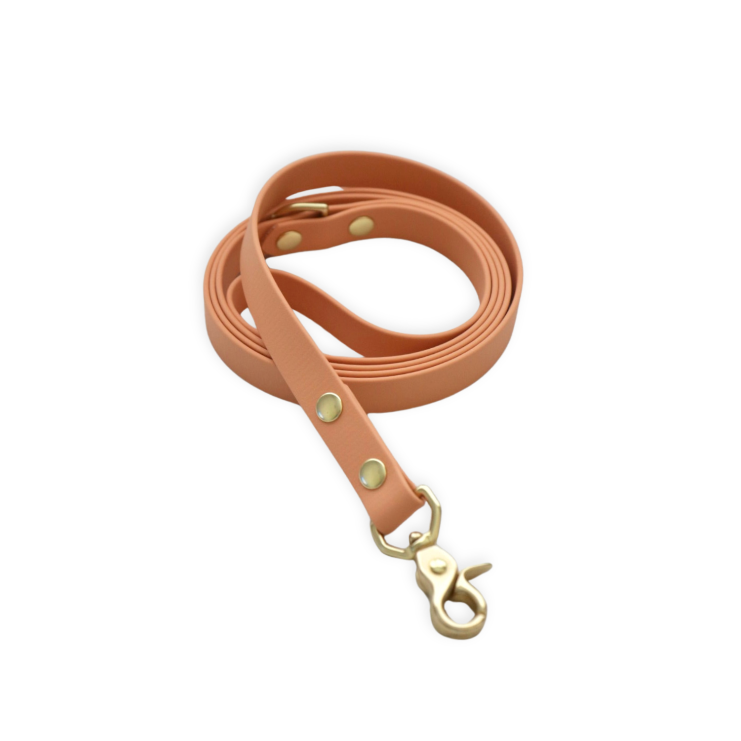 Photo inspiration: Standard Leash Photo Inspiration