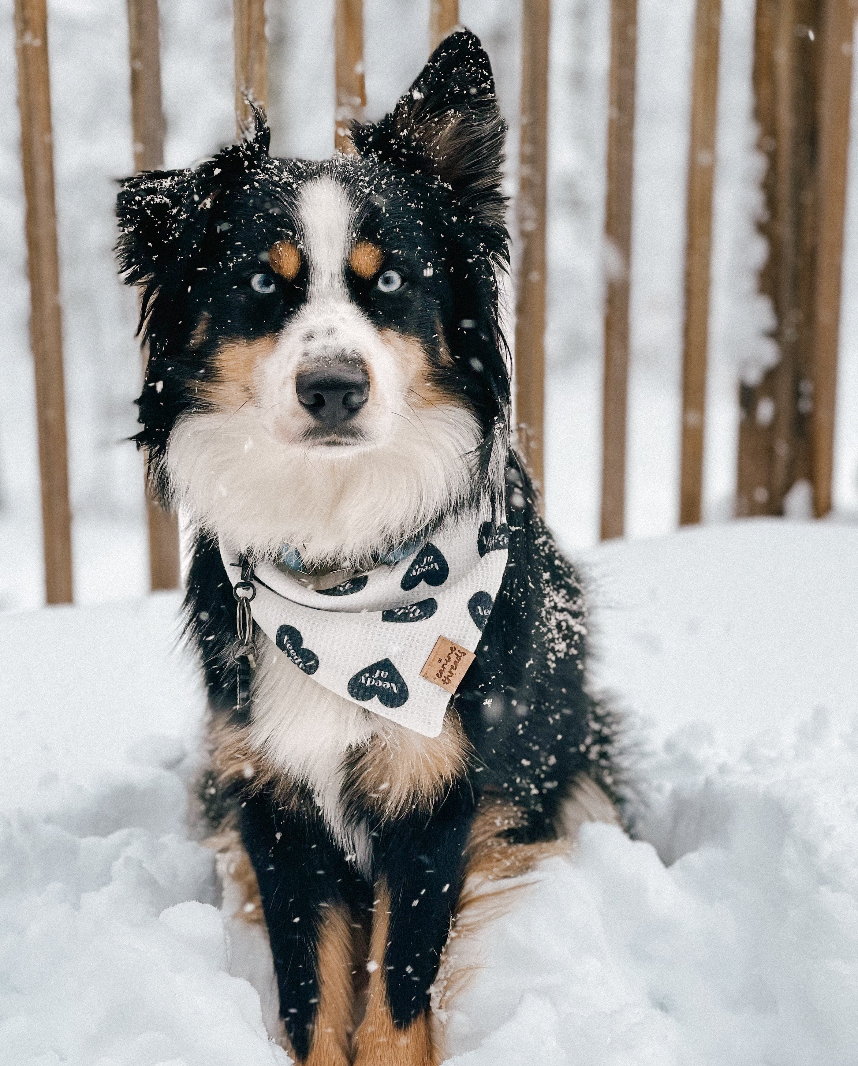 Fluffy af clearance bandana