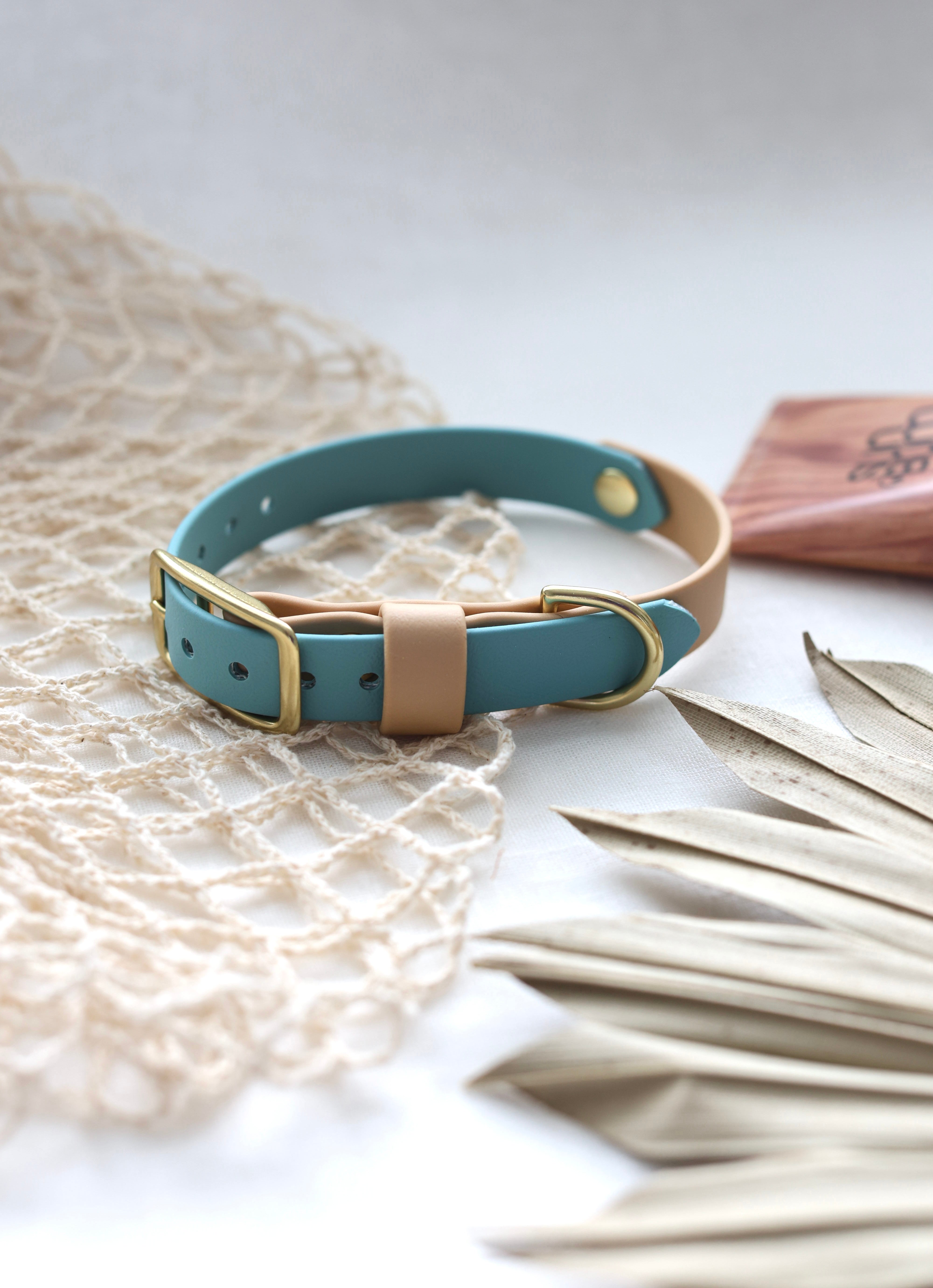Buckle Collar – The Canine Threads