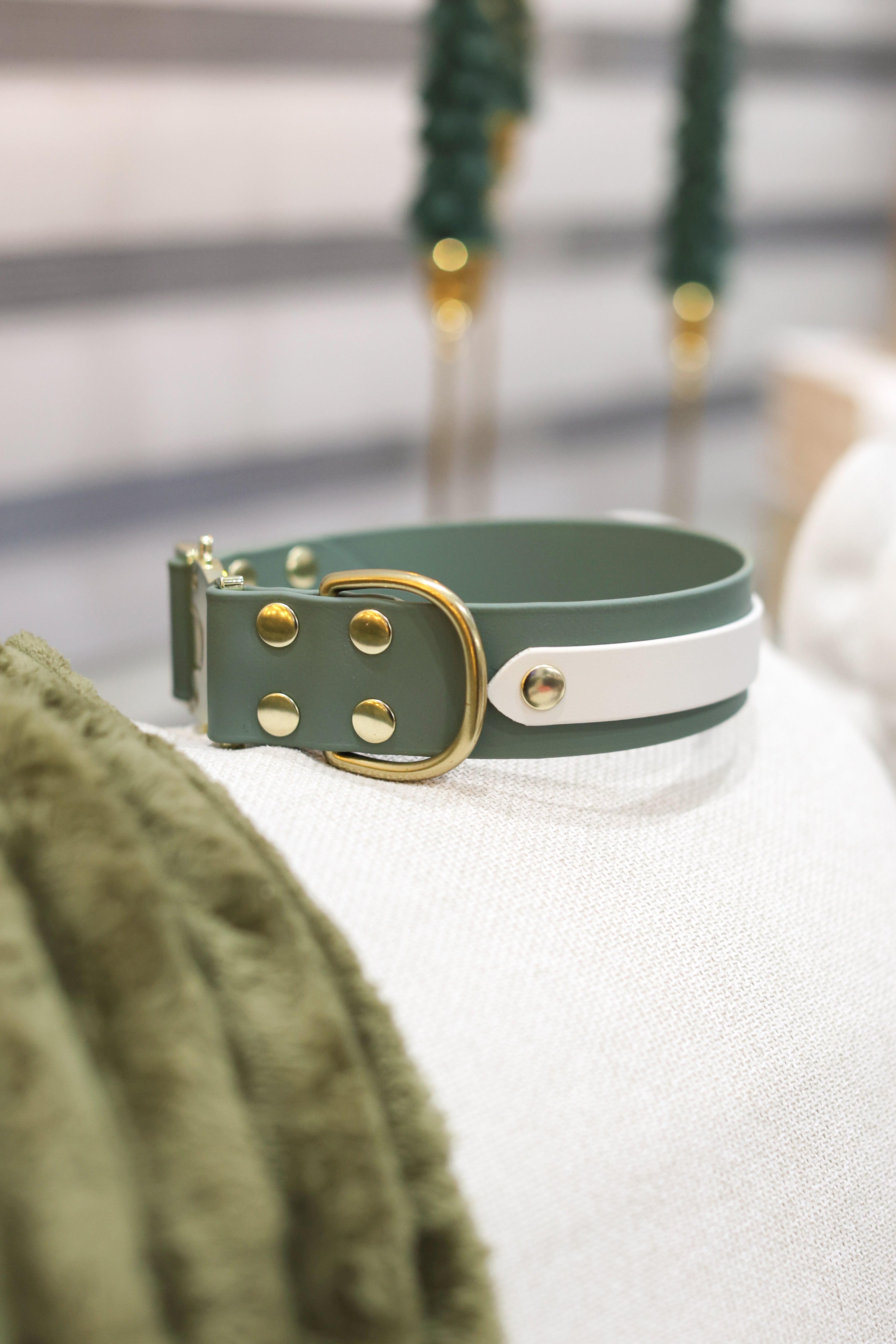 Non-Adjustable Overlay Quick Release Collar – The Canine Threads