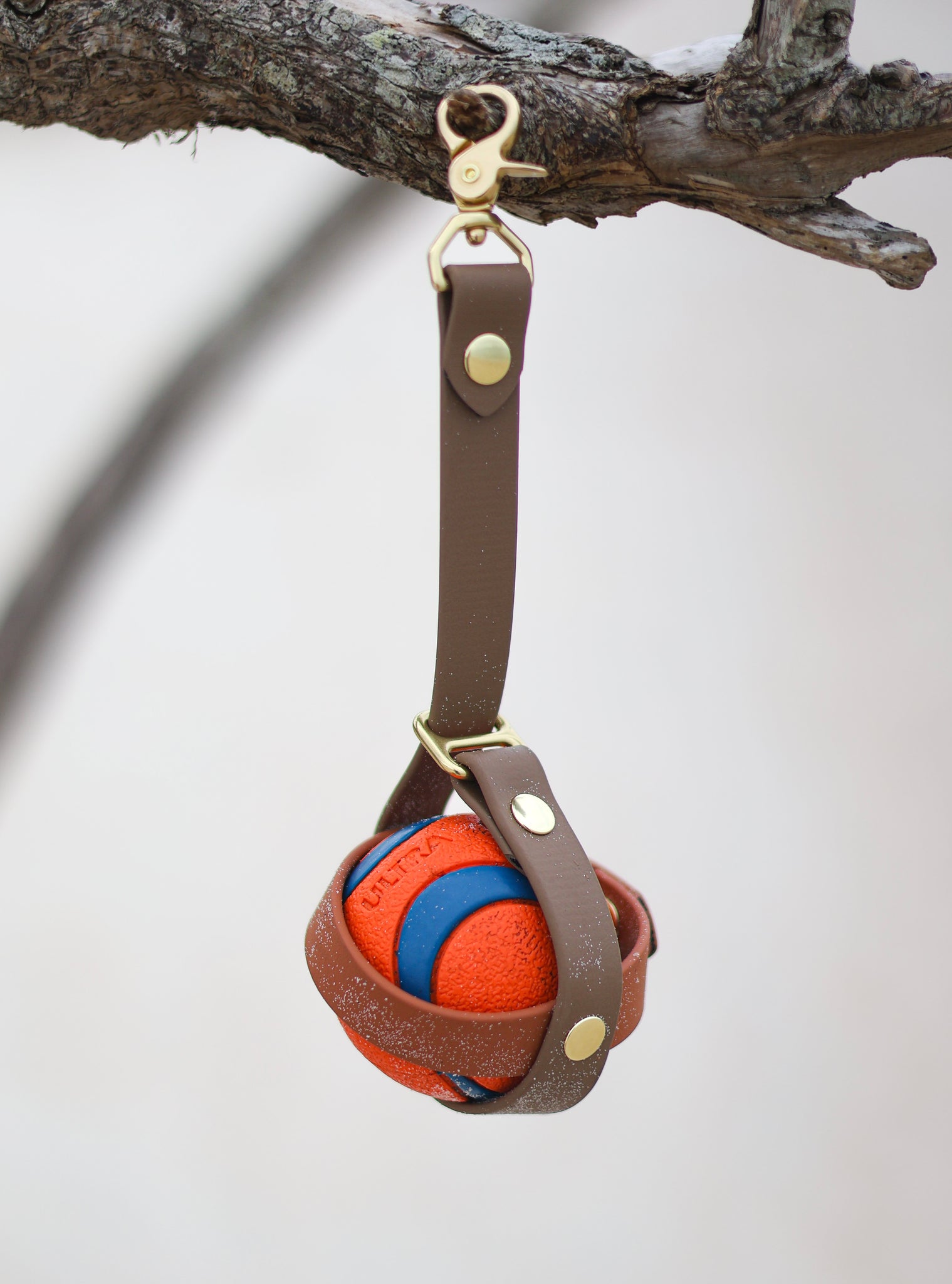 Ball Holder