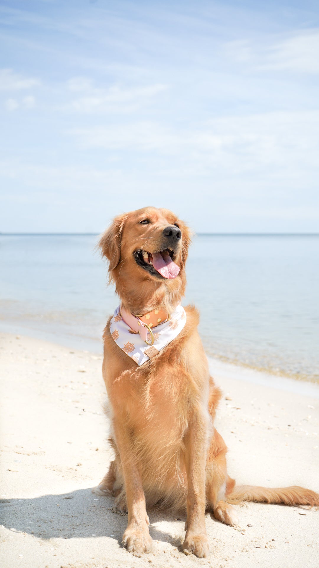 Photo inspiration: Curated Canine Thread Safety Tips Gallery View 49