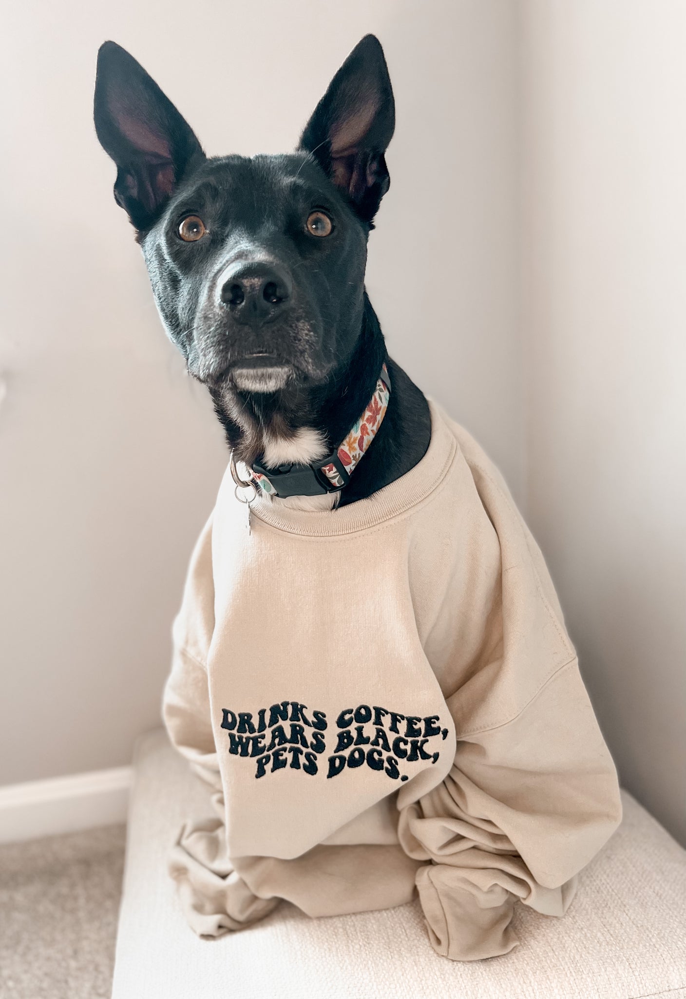 Drinks Coffee, Wears Black, Pets Dogs Embroidered Crewneck